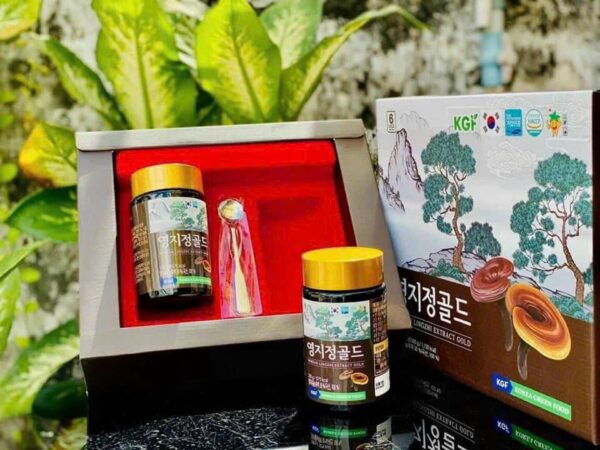 Cao Linh Chi KGF Hàn Quốc - Thần Dược Trong Y Học Truyền Thống