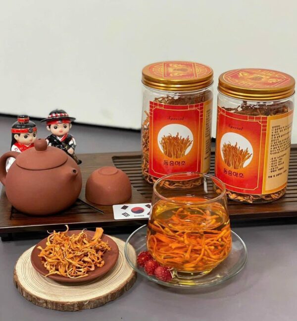 Hoa Đông Trùng Hạ Thảo Sấy Khô Hàn Quốc
