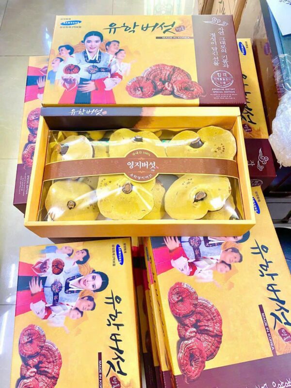 Nấm Linh Chi Cô Gái Hoàng Cung Hàn Quốc (10 Tai/1kg) - Ảnh 6