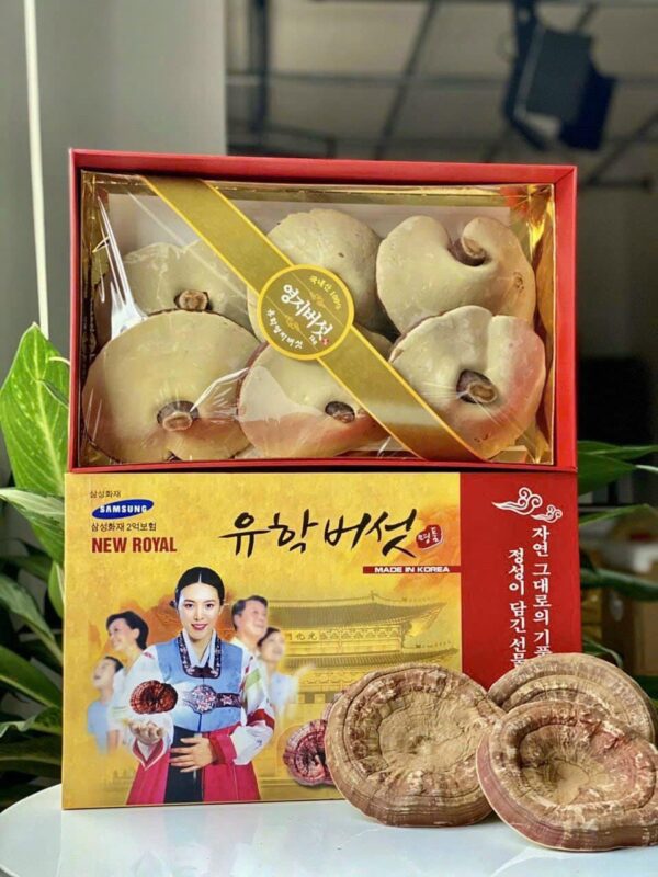 Nấm Linh Chi Cô Gái Hoàng Cung Hàn Quốc (10 Tai/1kg)