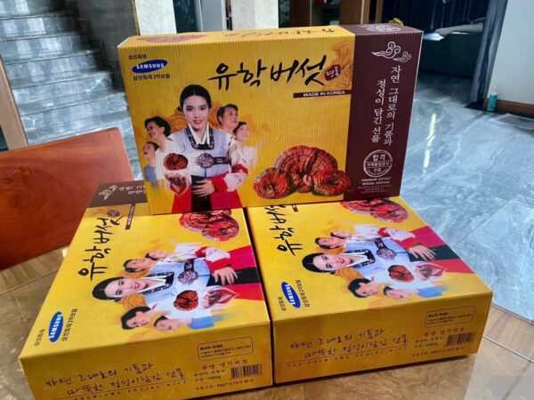 Nấm Linh Chi Cô Gái Hoàng Cung Hàn Quốc (10 Tai/1kg) - Ảnh 3